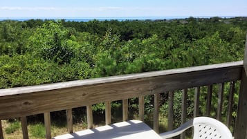Deluxe Room Kitchenette / Private Balcony 1 King Bed & 1 Sofabed | Balcony