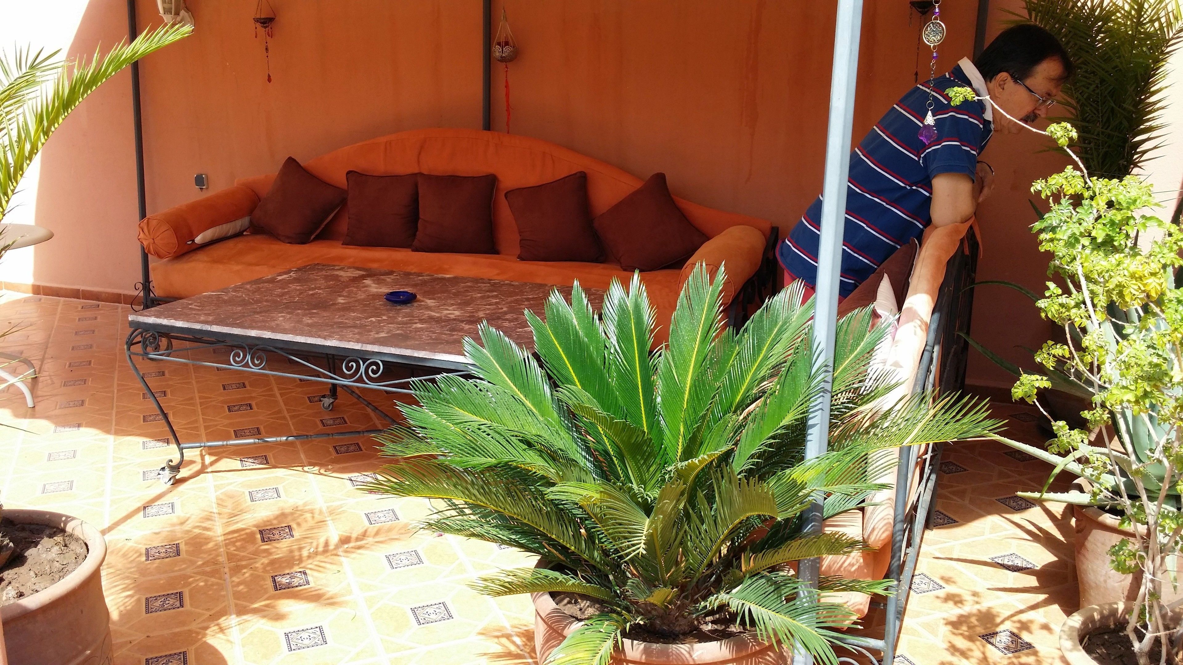 En patio med sofa, bord og plantekrukker.