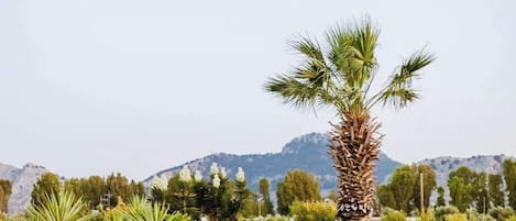 2 outdoor pools, pool umbrellas, pool loungers