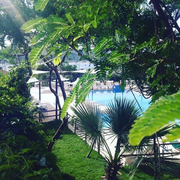 Alberca al aire libre, sombrillas en la alberca y camastros