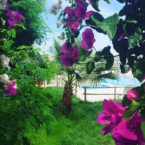 Garden - Bitez Marina Hotel (Bodrum)