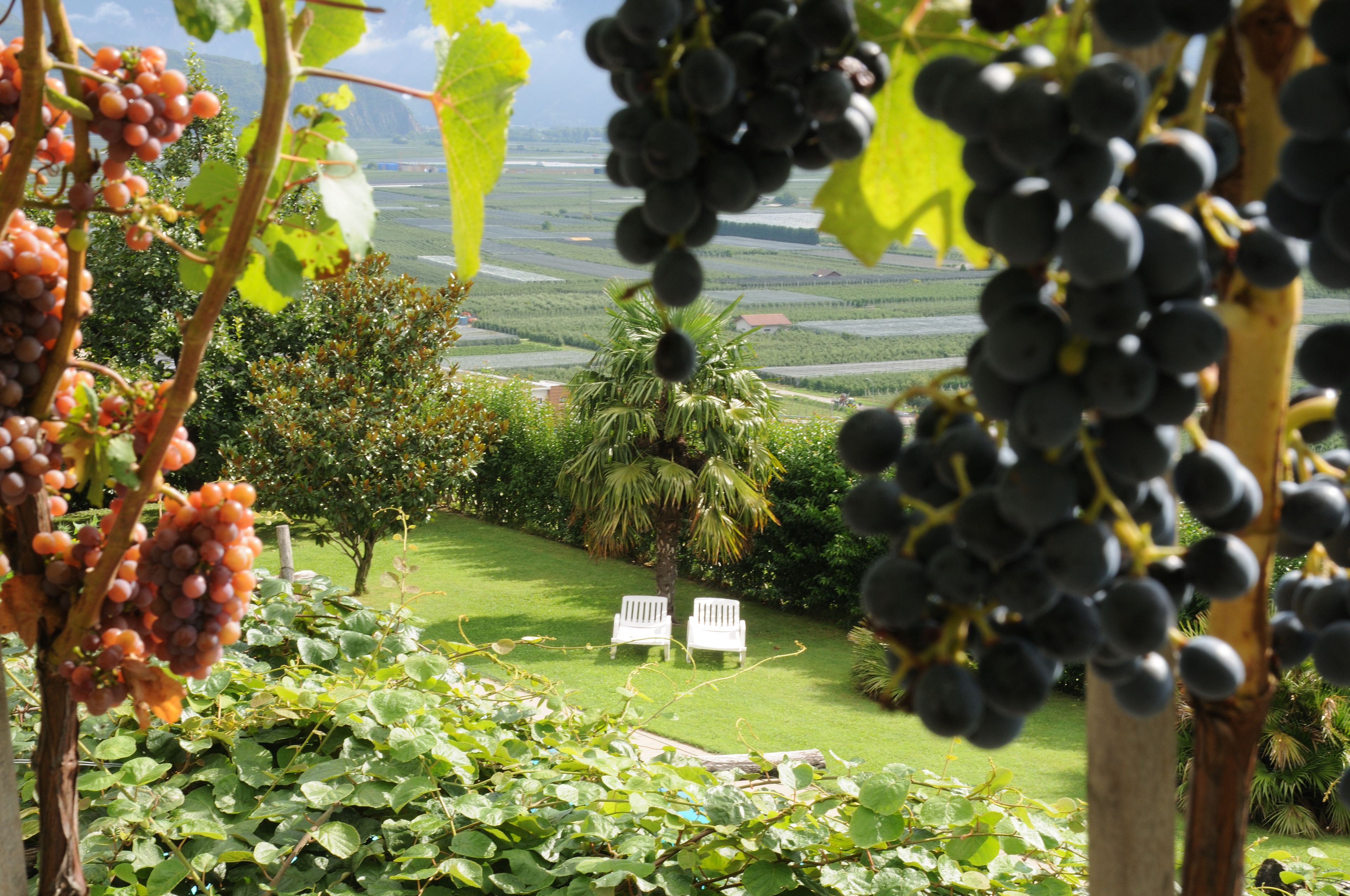 Utomhuspool och solstolar