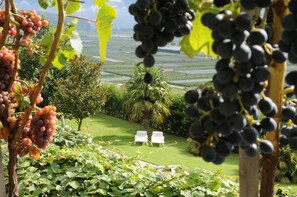 Piscina externa, espreguiçadeiras