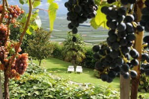Una piscina al aire libre, sillones reclinables de piscina
