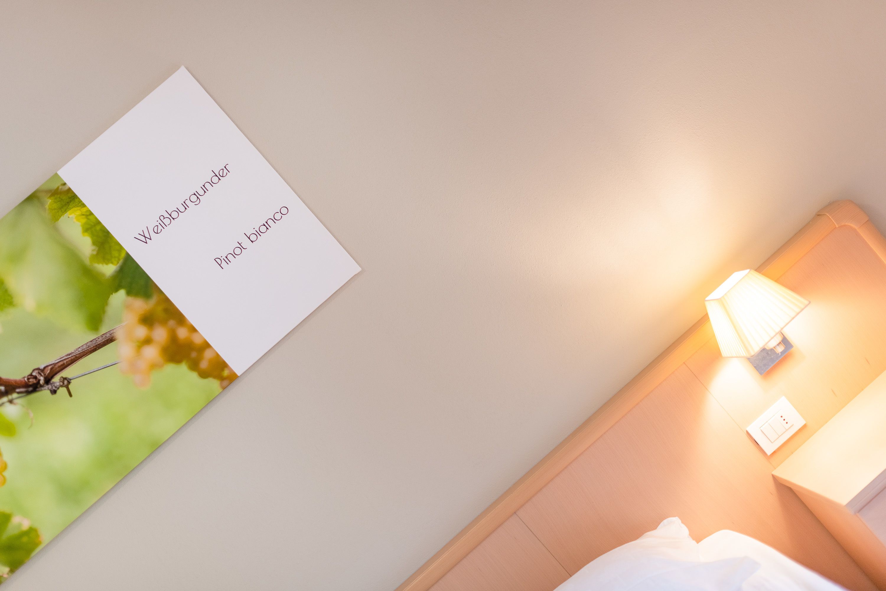 budget single room | premium bedding, minibar, in-room safe, desk