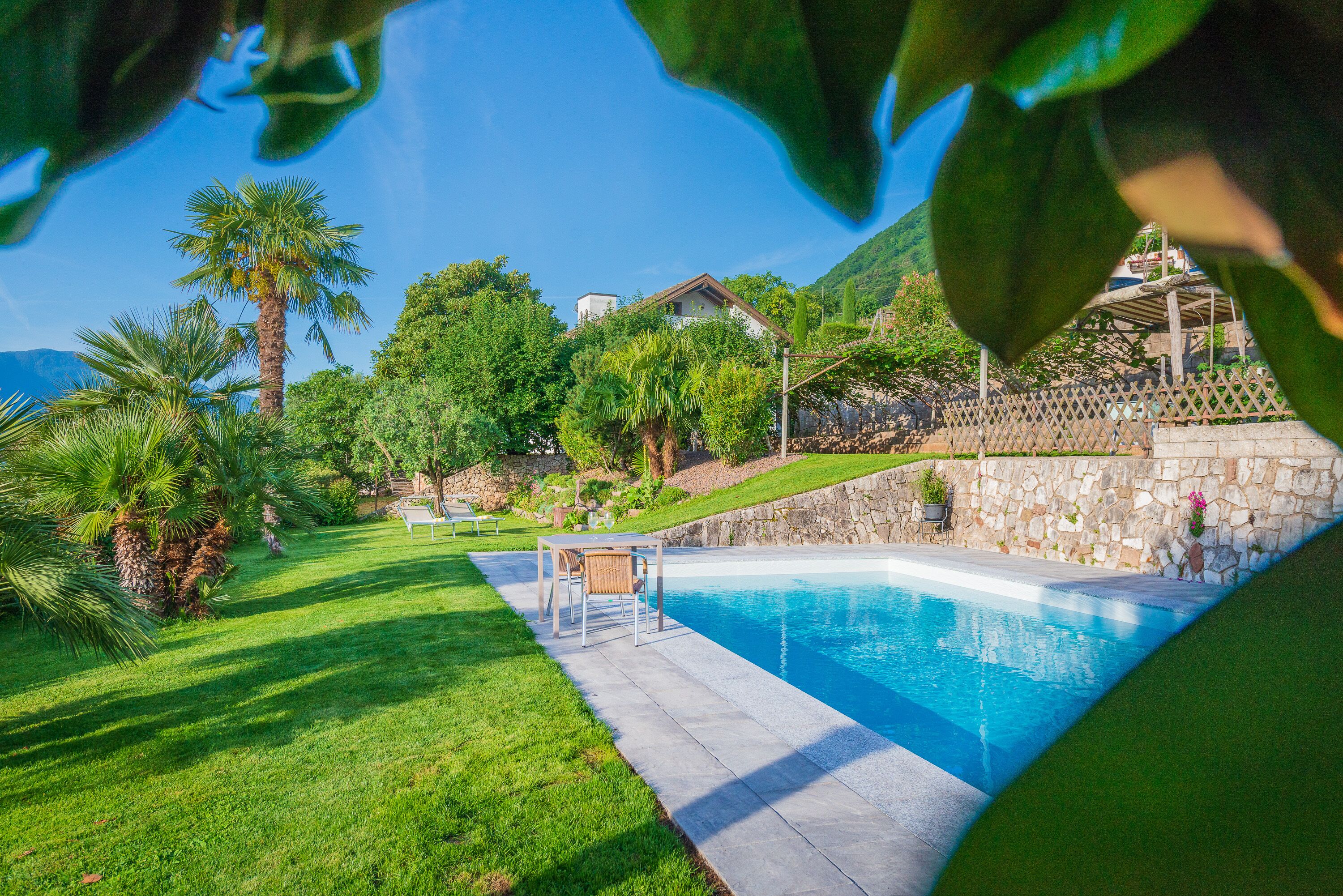 A swimming pool with a stone wall and a grassy area with palm trees.