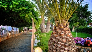 Jardin