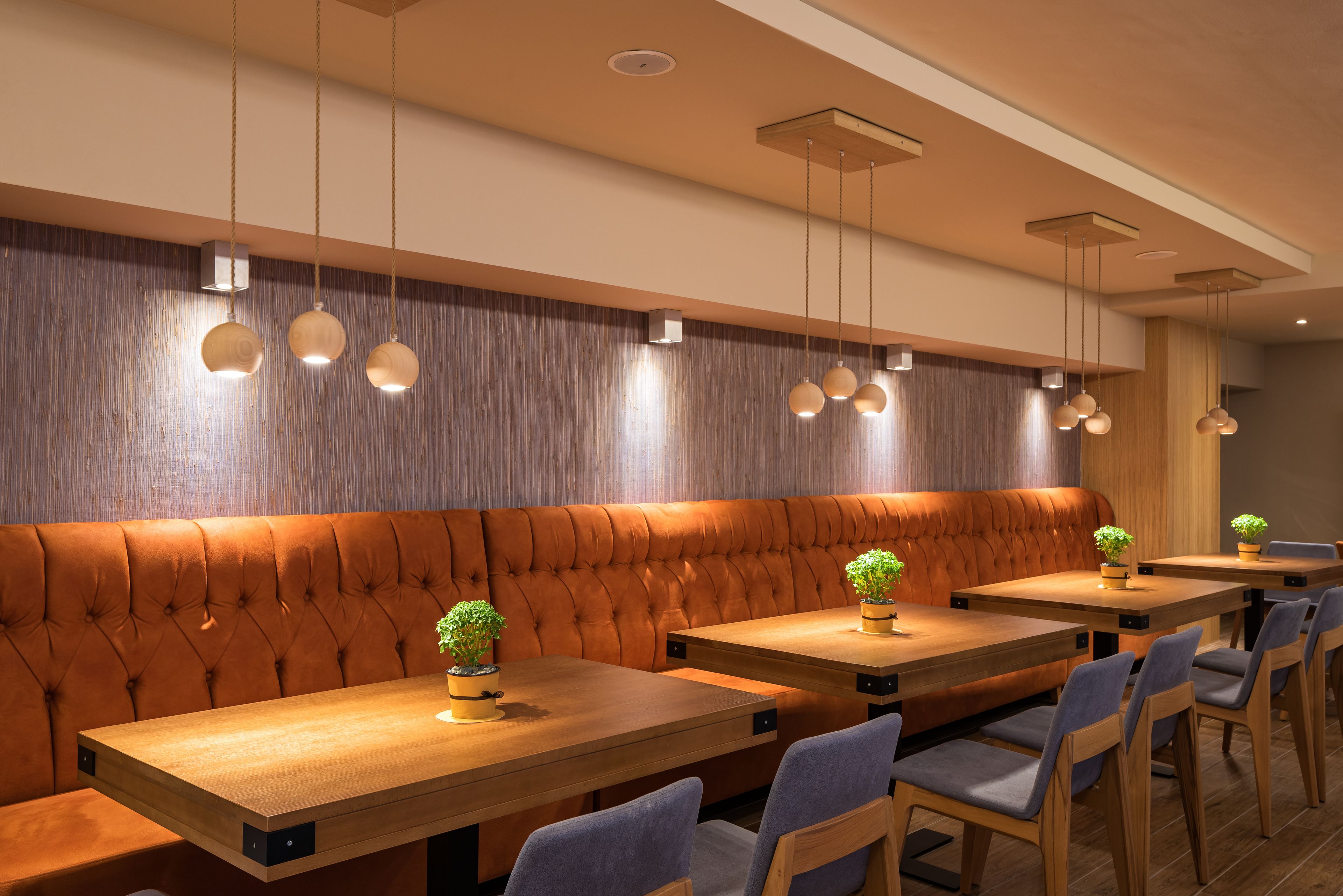 A modern restaurant interior with wooden tables, cushioned booths, hanging pendant lights, and potted plants.