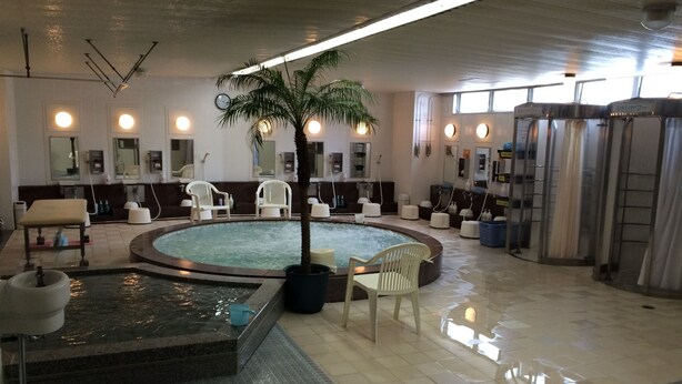 A spa area with a hot tub, seating, and a palm tree. - Sauna & Capsule In Okayama (Okayama)