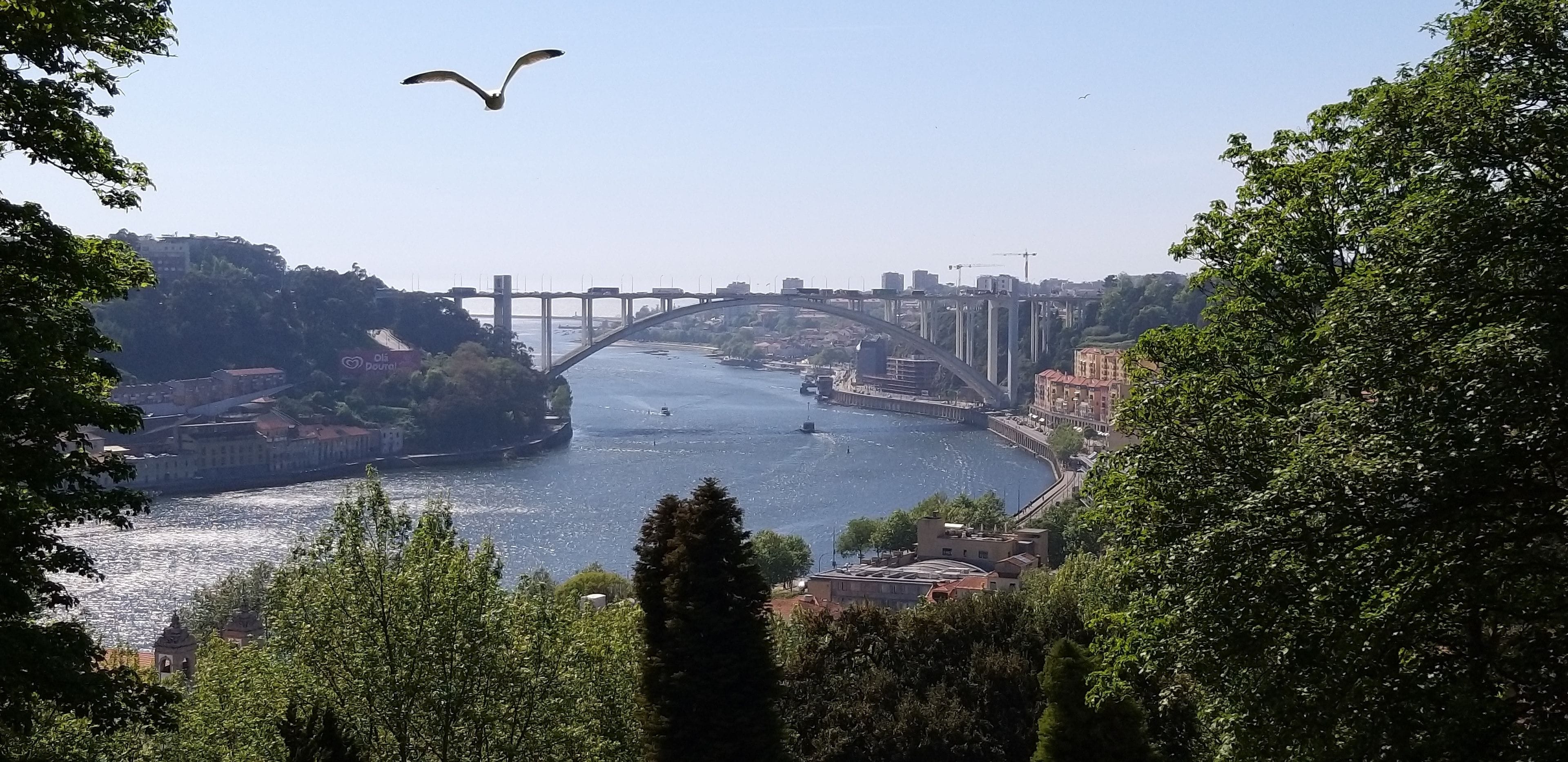 Photo - Premium Porto Downtown
