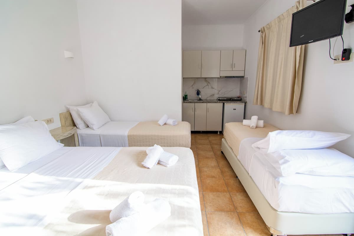 A hotel room with two beds, a kitchenette, and a TV.