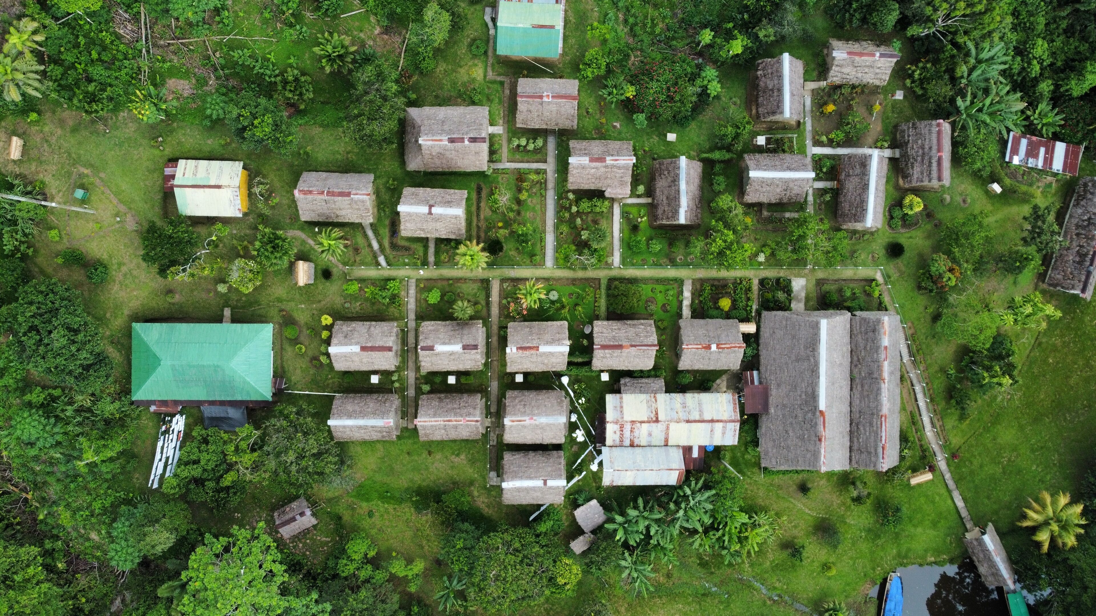 Vista aérea de una zona residencial con casas de techo de paja dispuestas en un patrón de cuadrícula, rodeada de abundante vegetación.