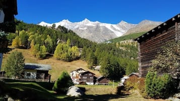 Departamento Deluxe, 3 habitaciones, vista a la montaña, junto a la montaña (120 CHF Cleaning Fee) | Vista a la montaña