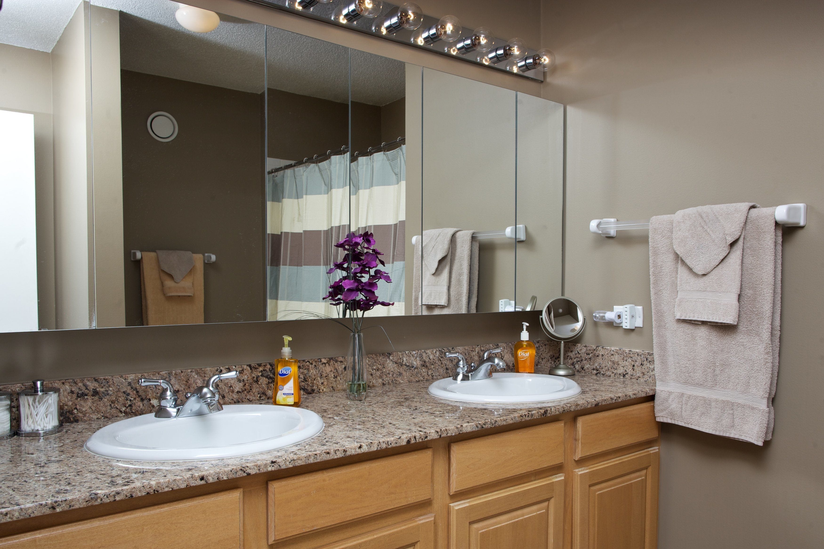 penthouse 6  | bathroom sink