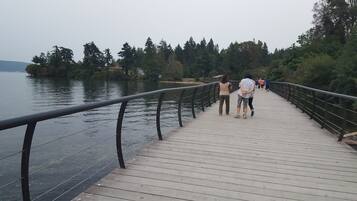 A wooden boardwalk with metal railings, leading to a body of water surrounded by trees.