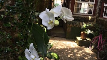 Jardín