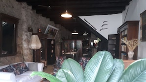 Un salón acogedor con un sofá blanco, plantas verdes grandes y una pared de piedra rústica.