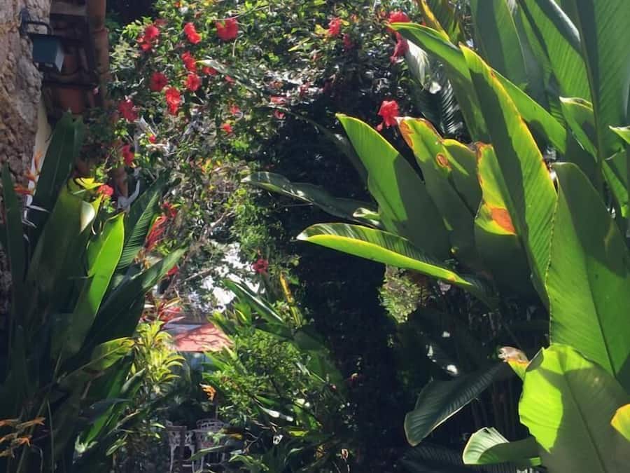 Economy Double Room | Minibar, individually decorated, blackout drapes, rollaway beds