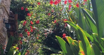 Pousada Arte Colonial