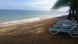 A beach with white lounge chairs and a sailboat in the distance. - Aligio Aparthotel & Spa (Las Terrenas)