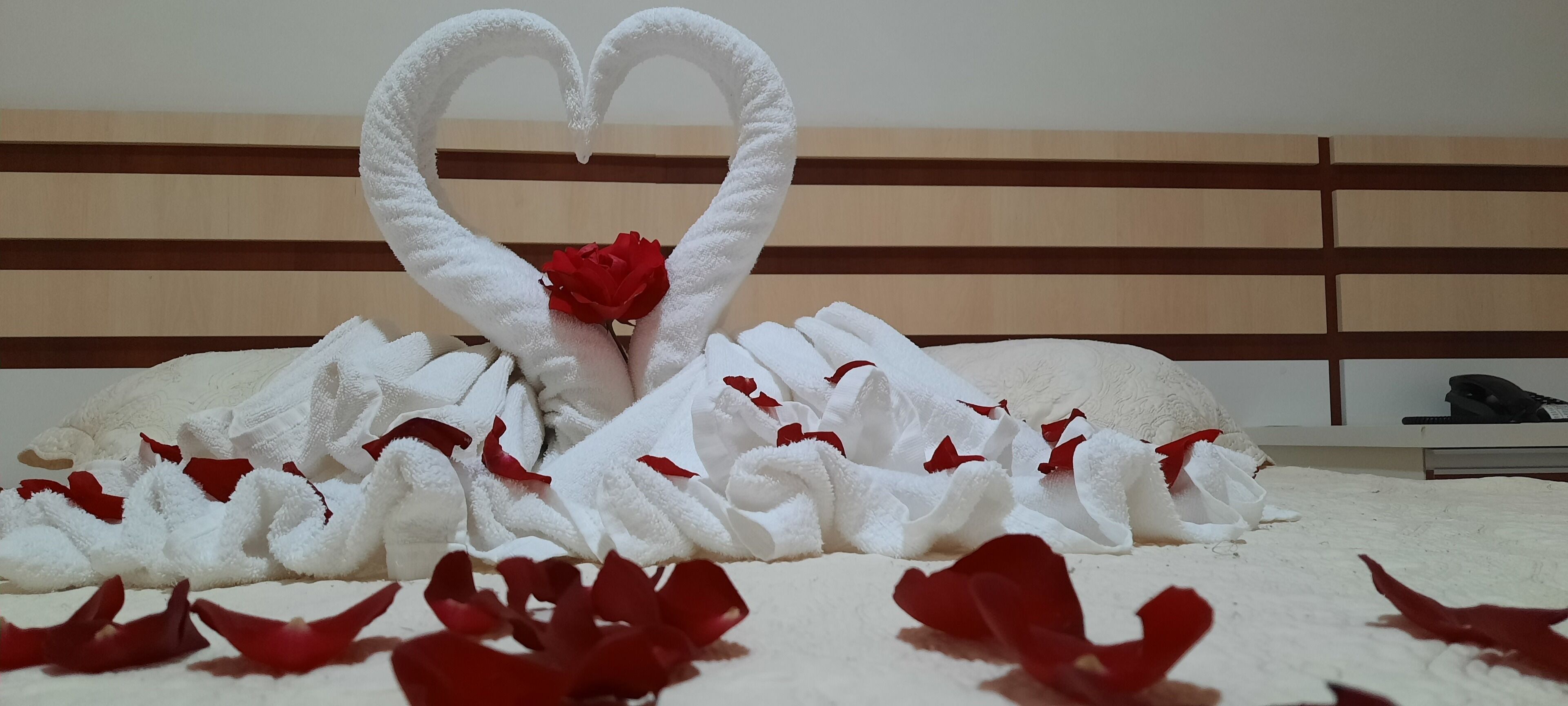 En säng med vita handdukar arrangerade i form av ett hjärta, en röd ros i mitten och röda rosenblad utspridda runt omkring.