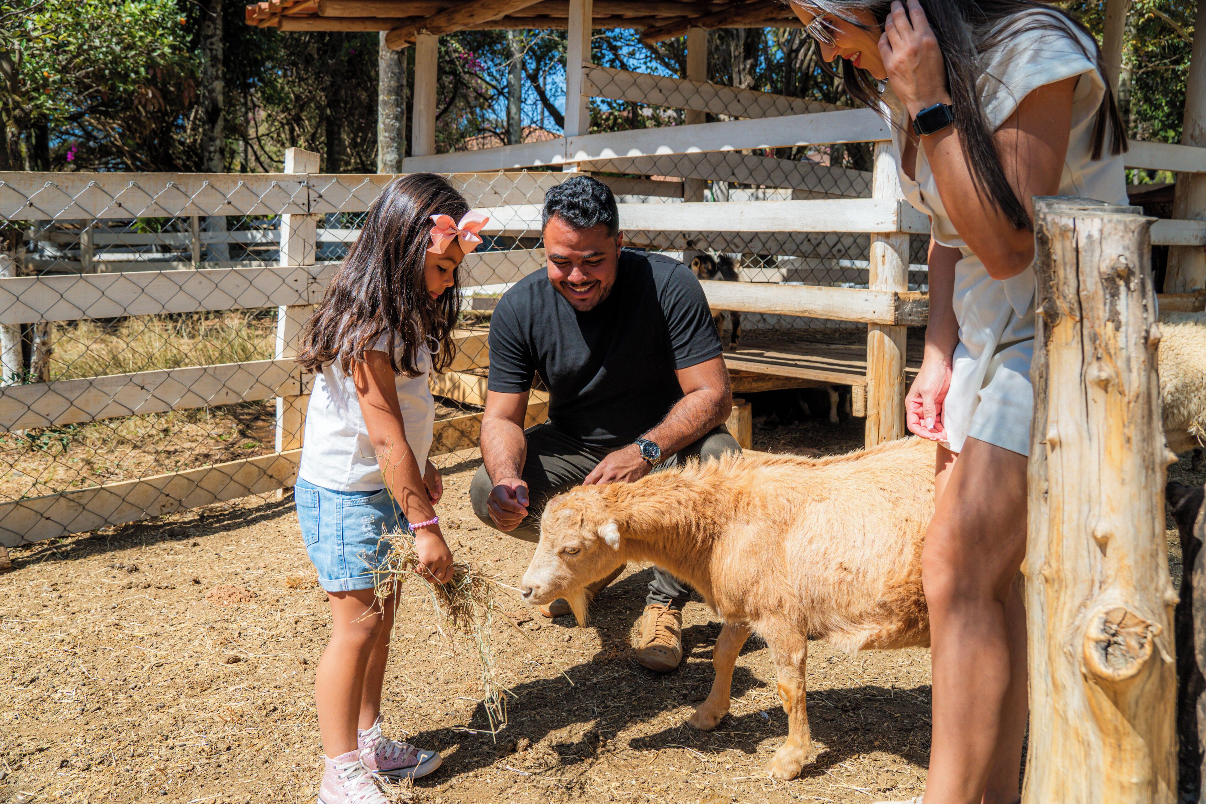 Uma área cercada com uma estrutura de madeira, possivelmente um celeiro ou abrigo, e um pequeno animal, provavelmente uma cabra, sendo alimentado por alguém.