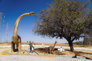 Aire de pique-nique/barbecue