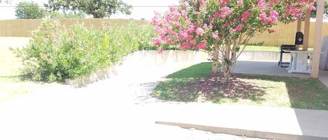 A garden with a pink flowering tree, a barbecue area, and a building with a blue roof.