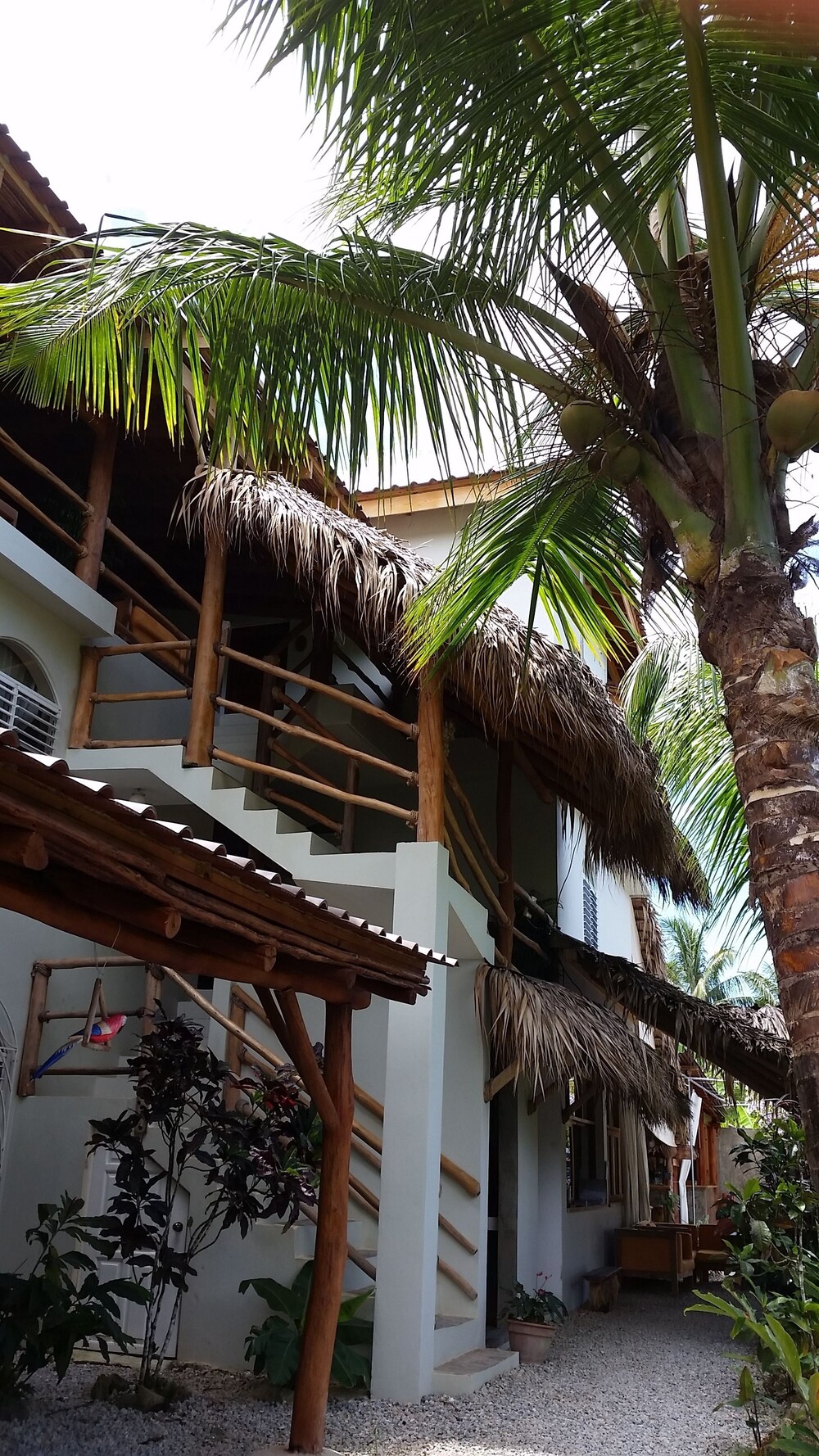 Residencia El Balata 2