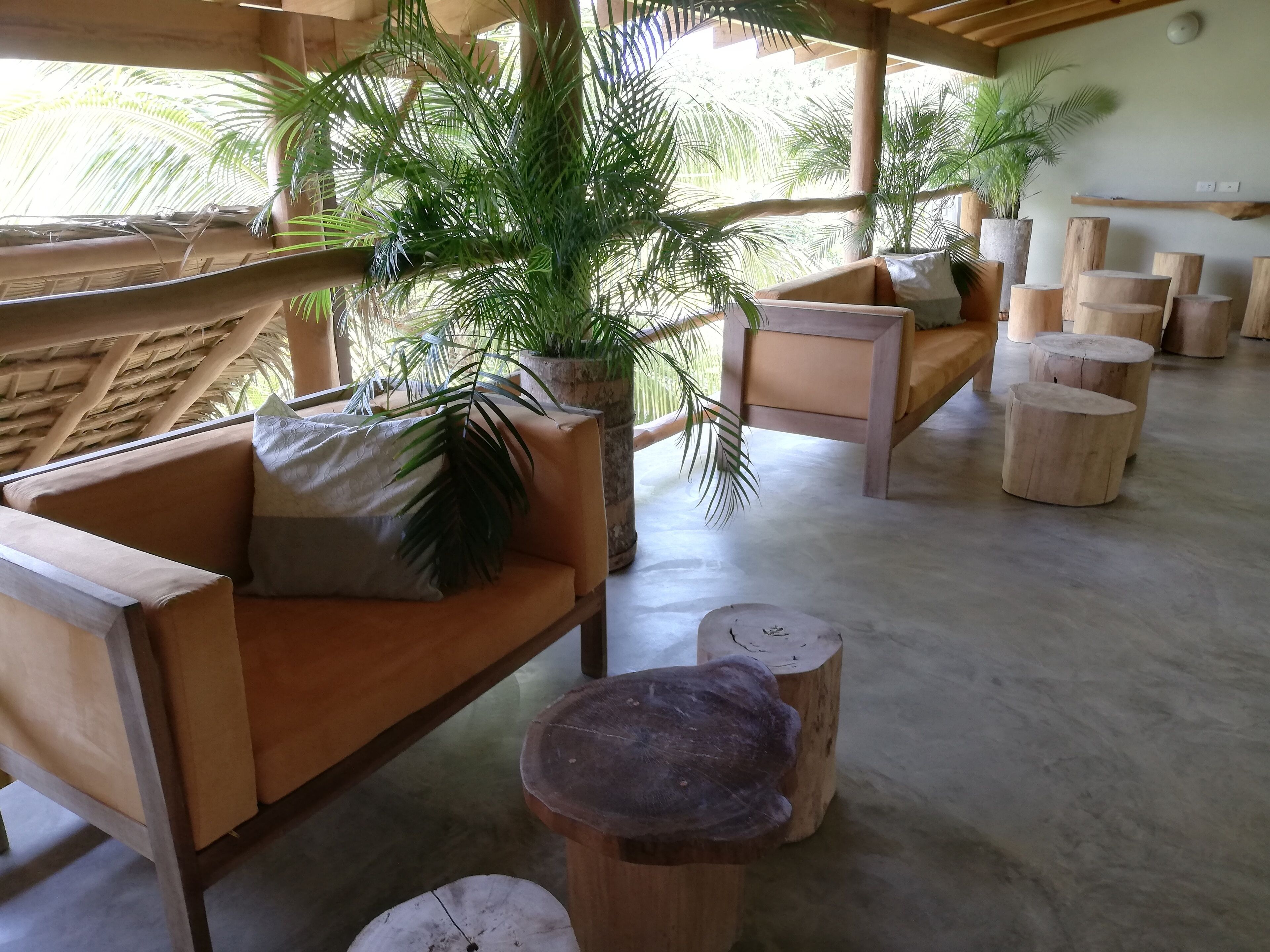 A wooden lounge area with sofas and a central plant.