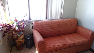 Flat-screen TV