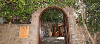 Hippocampus Hotel