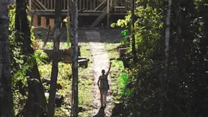 Une terrasse en bois entourée d’arbres, un bateau amarré à proximité et une personne debout sur un sentier.