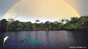 Une scène de forêt tropicale avec un arc-en-ciel se déployant au-dessus d’une étendue d’eau.