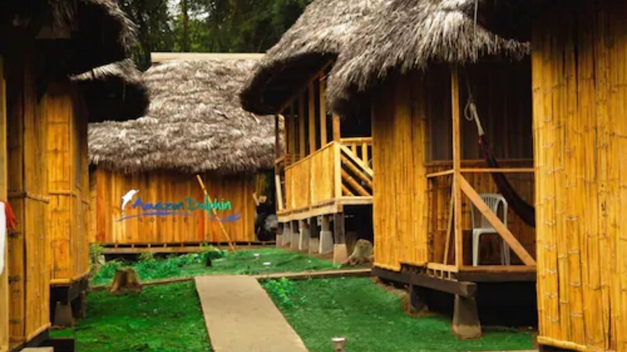 亚马逊海豚小屋