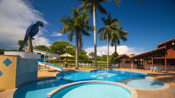 Una piscina con una escultura de palmera, rodeada de palmeras y un edificio de madera.