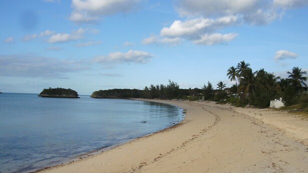 Una playa con agua azul cristalina, orilla de arena y palmeras.