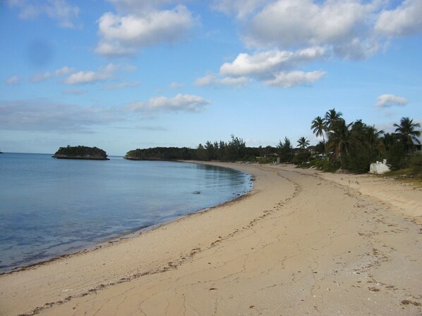 Beach nearby, sun loungers, beach umbrellas, beach towels - Sir Charles Guest House (South Palmetto Point)