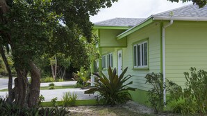 Una casa verde con jardín delantero, rodeada de plantas y árboles.