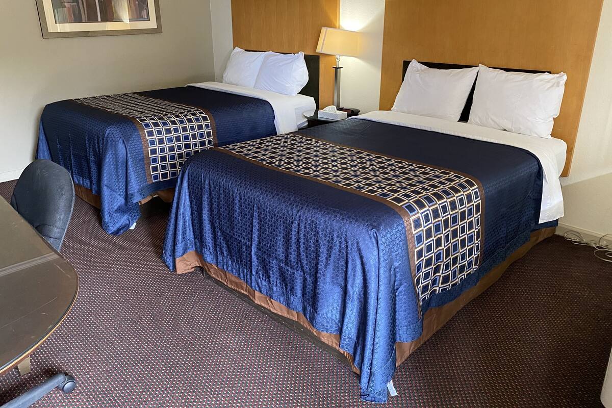 Premium bedding, desk, free WiFi, bed sheets
