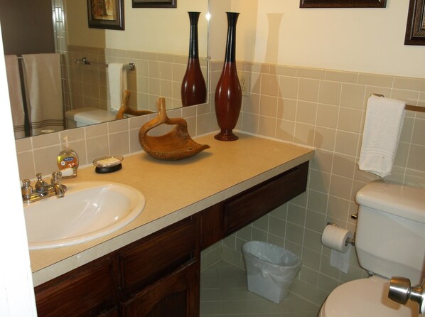 Bathroom sink