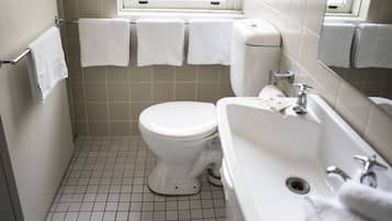 Shower, free toiletries, towels