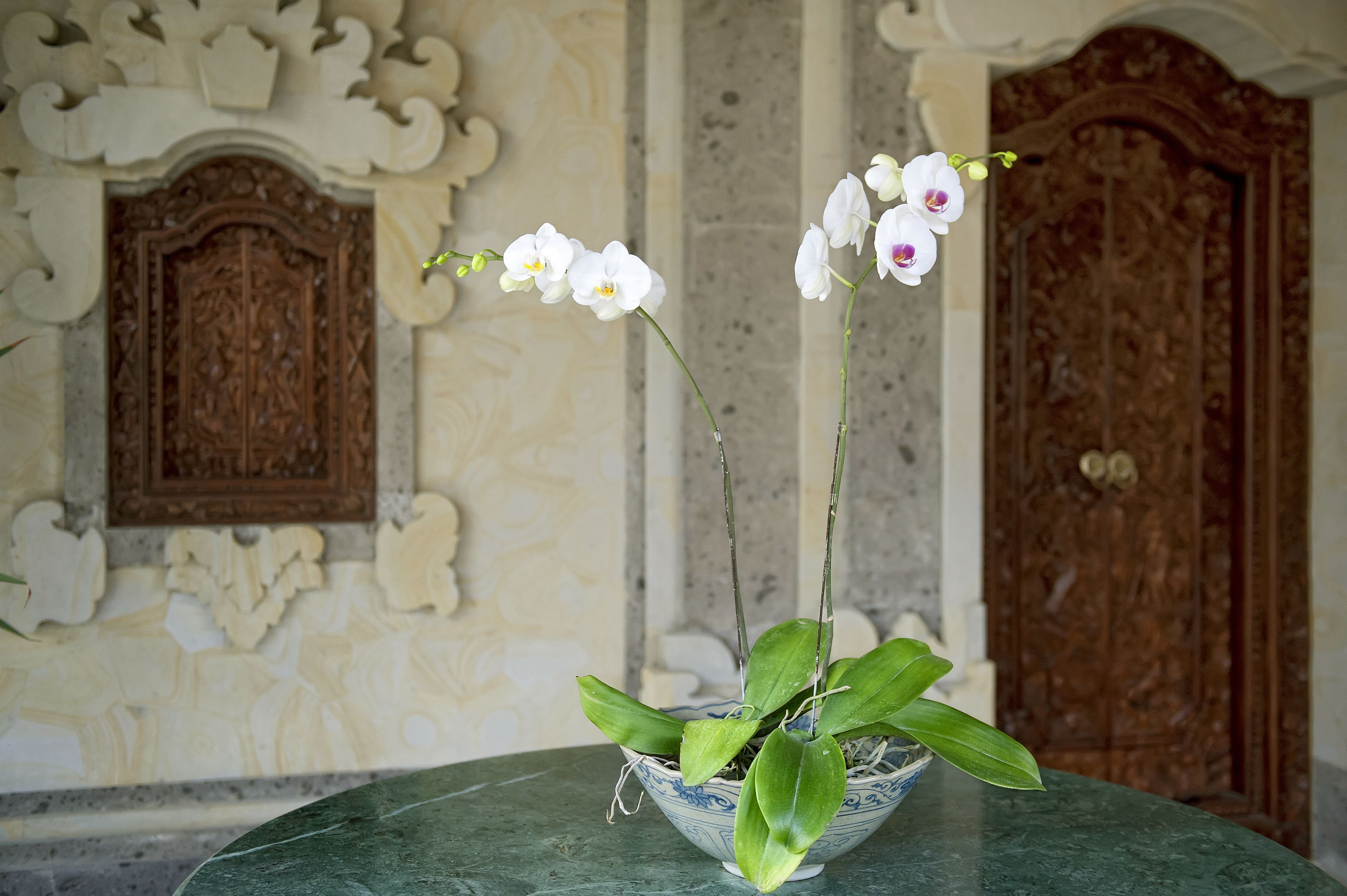Eine Topf-Orchidee mit einer dekorativen Schale auf einer Marmorplatte.