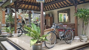 Un espacio al aire libre cubierto con una bicicleta y plantas en macetas.