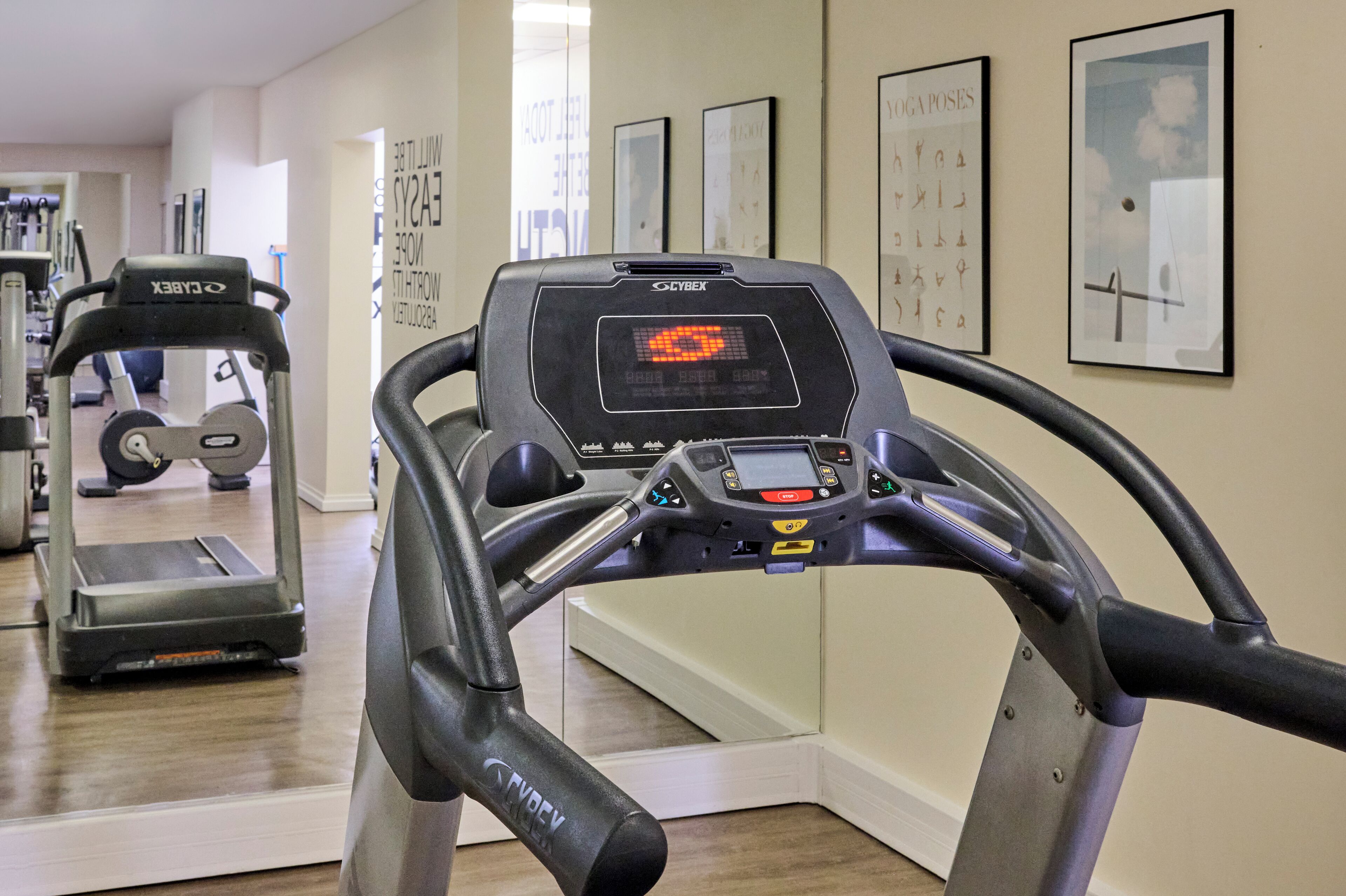 Un gimnasio con cintas de correr y equipo de ejercicio.