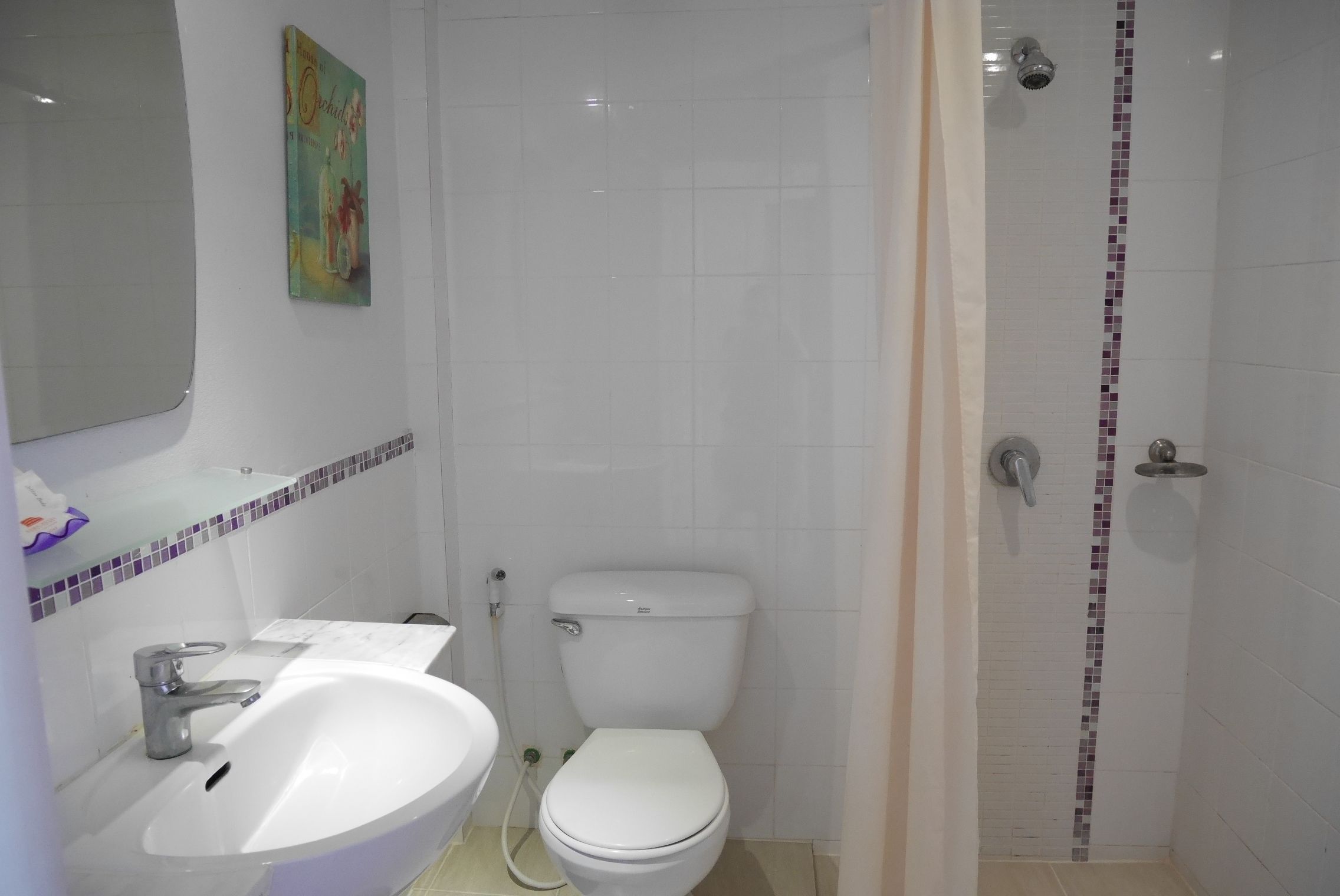 Shower, free toiletries, bidet, towels