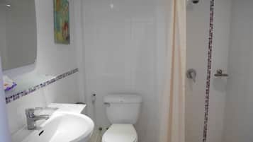 Shower, free toiletries, bidet, towels