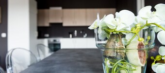 Smartflats Design - Cathédrale