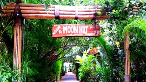 Property grounds - Moonhut Bungalows (Koh Samui)