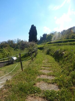 Property grounds - Albergo La Veranda (Maissana)